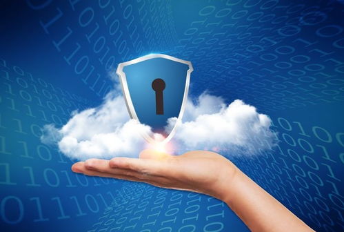 一次黑天鹅事件引发的互联网安全大科普 筑牢数字时代的防护盾